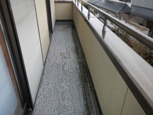 DSCN9653