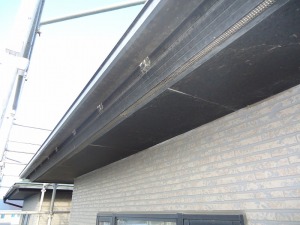 DSC01186