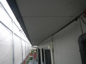 DSCN0286