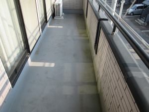 IMG_0430