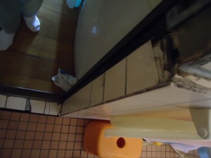 DSC08021